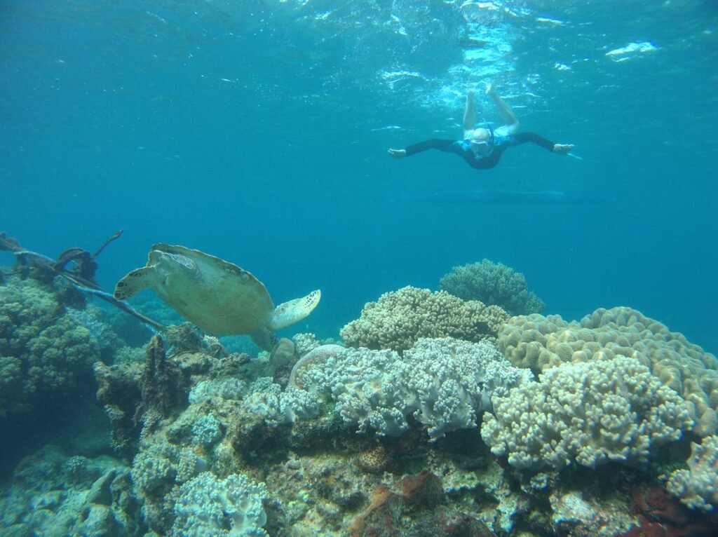 molokini crater snorkeling