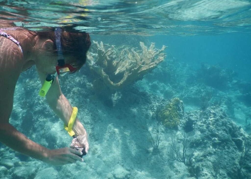 Pattaya snorkeling spots